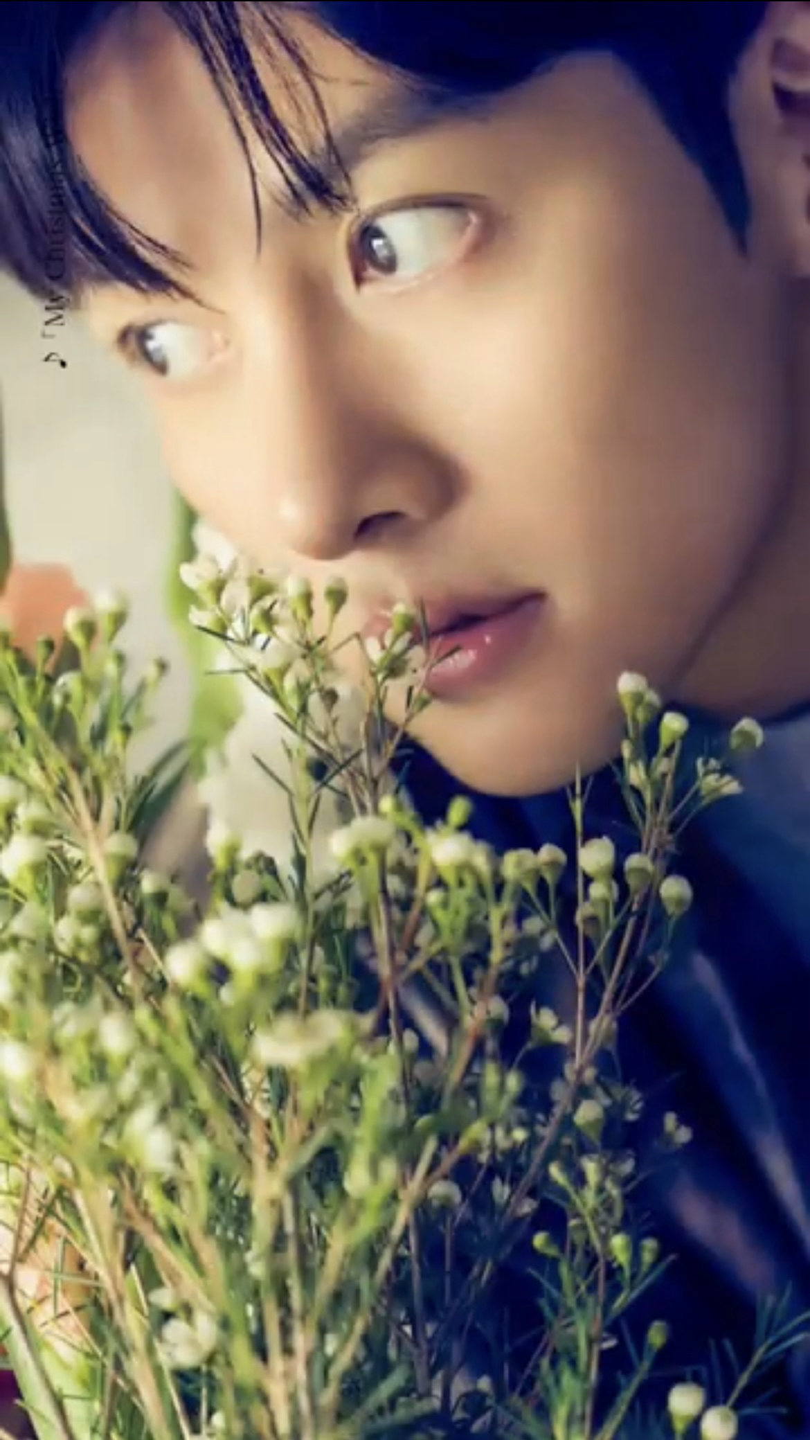 粉丝拍下的池昌旭瞬间