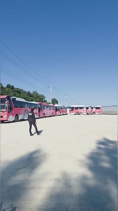 宋歌人的最新照片