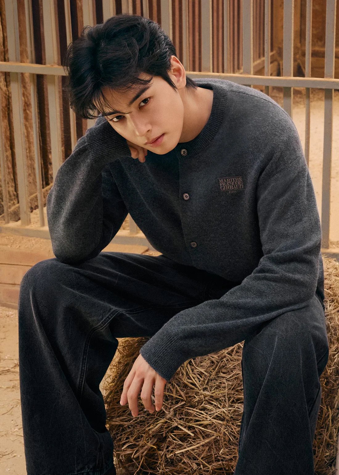 チャ・ウヌの最新写真