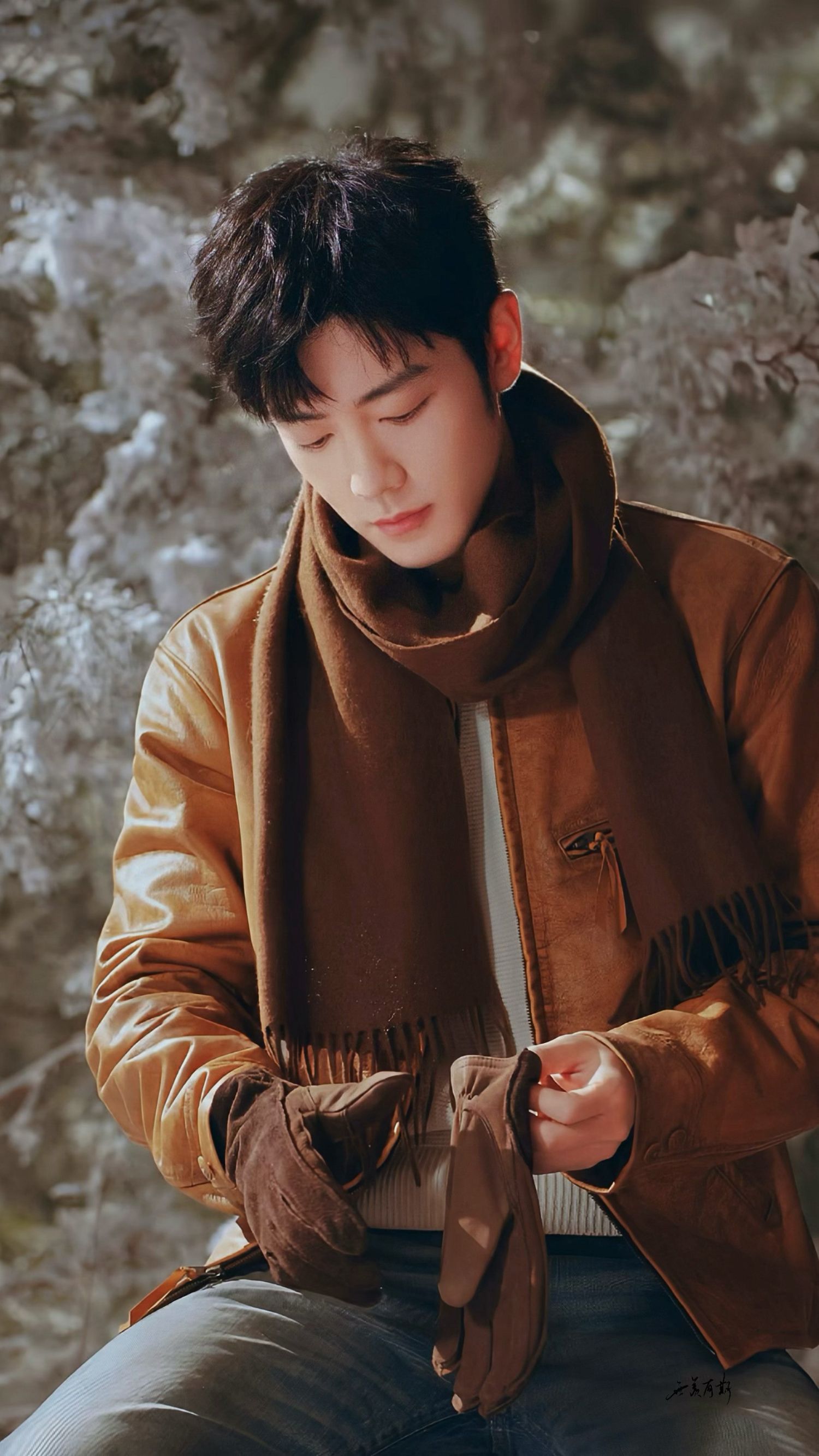 肖战社区今日人气壁纸