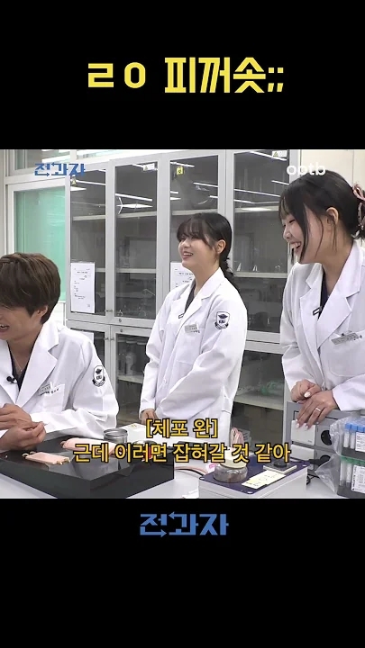 Today's popular wallpaper in KAI community