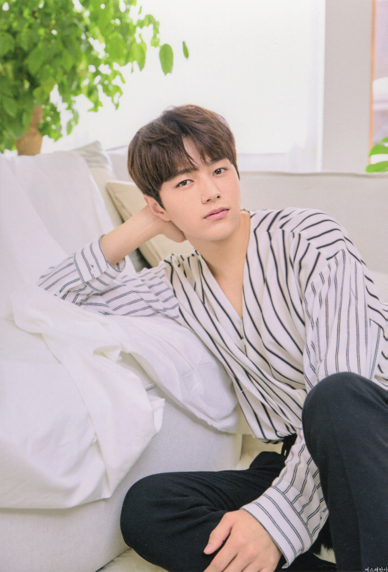 金明洙 (L)的近期活动照