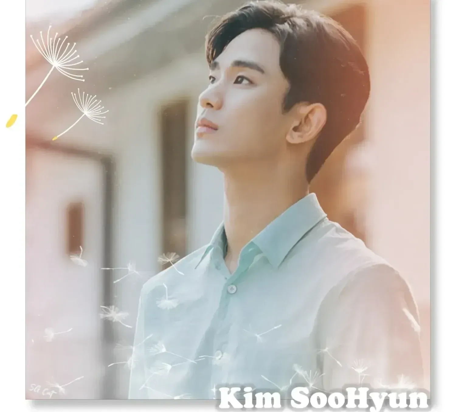 A moment captured by a fan of Kim Soohyun