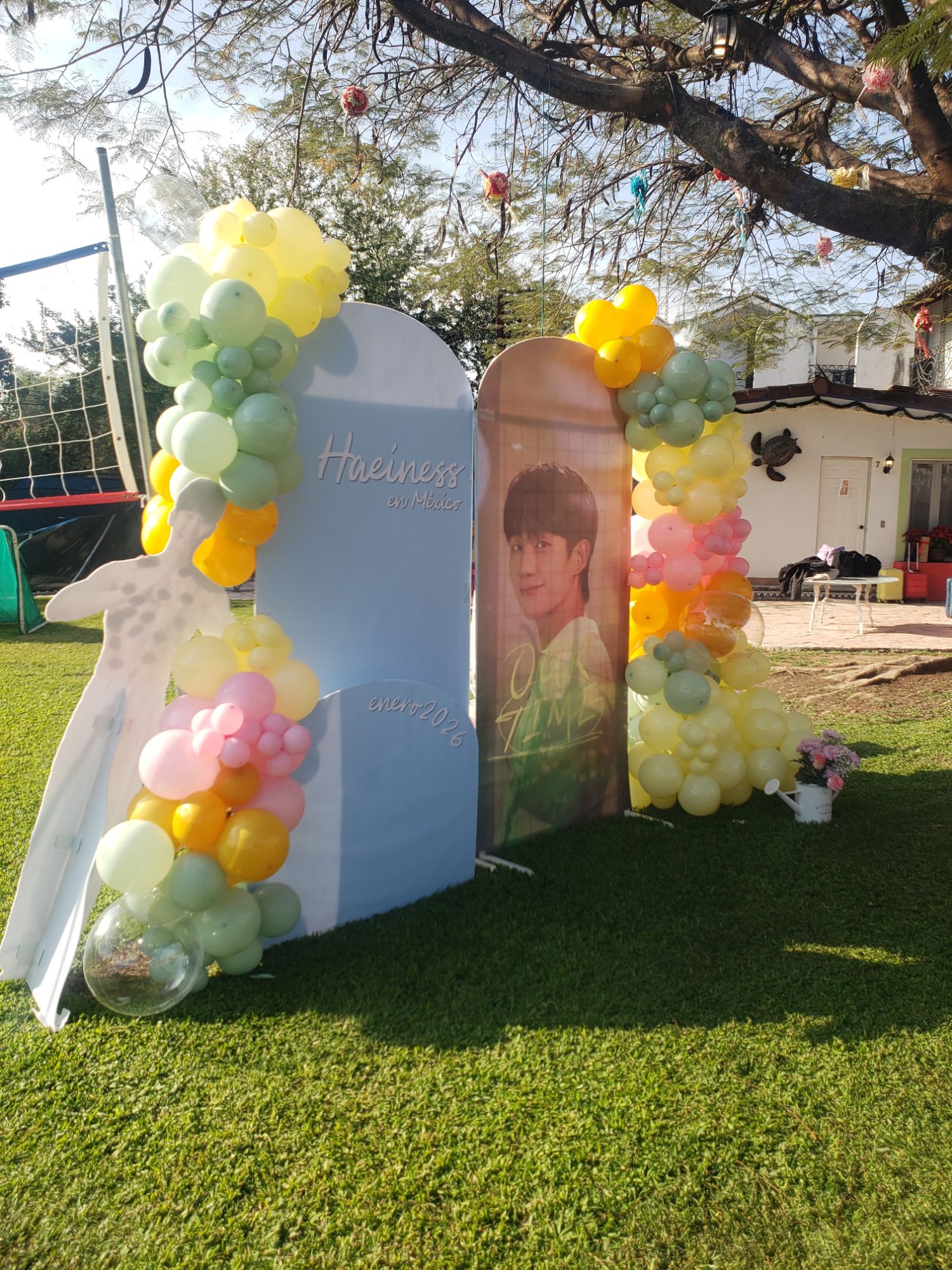 丁海寅的近期活动照