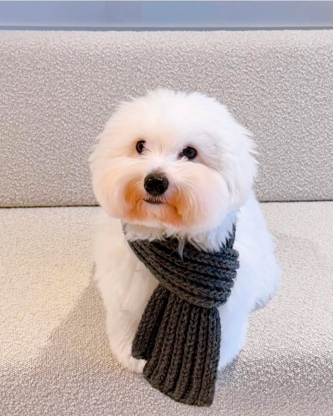 林英雄的幕后花絮