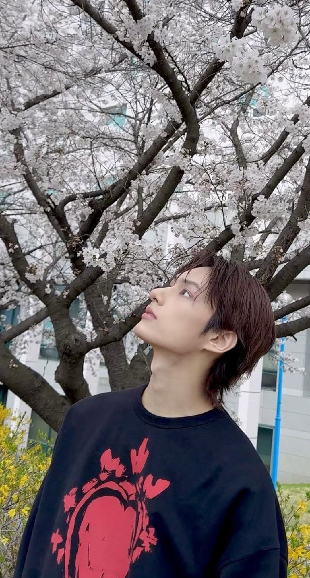 最爱偶像名人粉丝团推荐的文俊辉背景图片