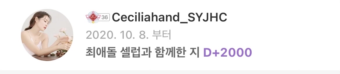 손예진 팬이 찍은 순간