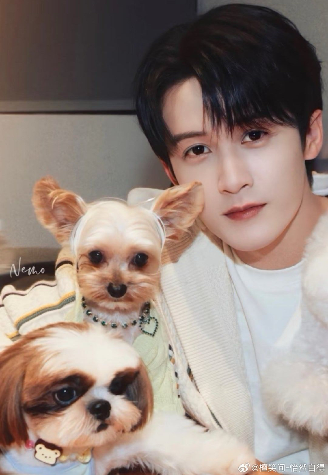 Latest photo of Tan Jianci