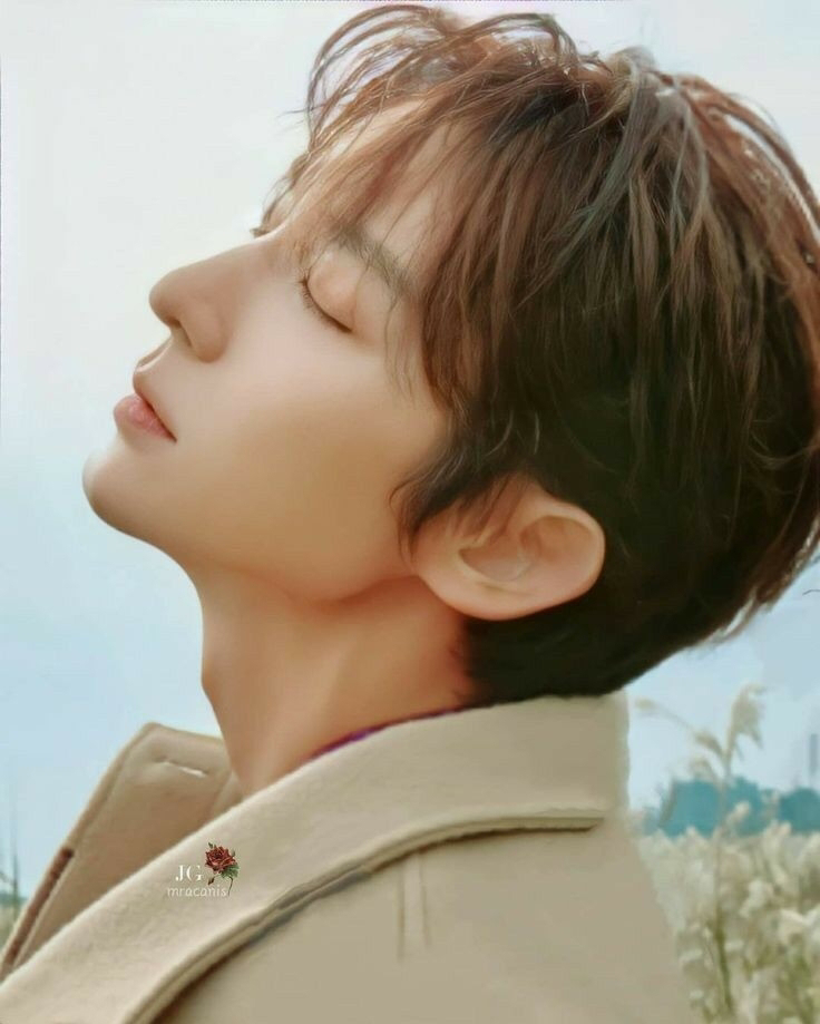 이준기 팬이 찍은 순간