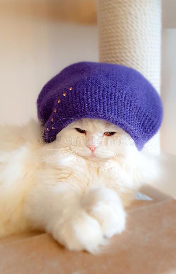 Behind-the-scenes cut of Key