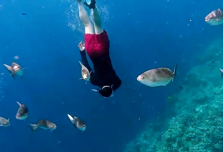 A moment captured by a fan of Dex