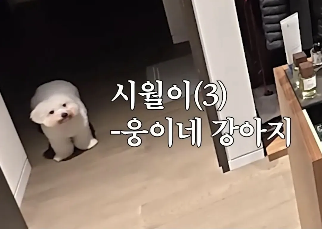 Cuplikan di balik layar dari Lim Youngwoong