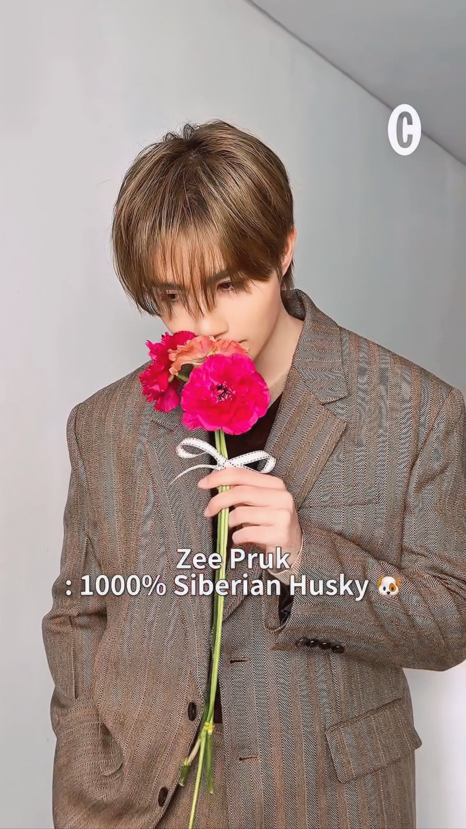 Special wallpaper made by ZeePruk's fans