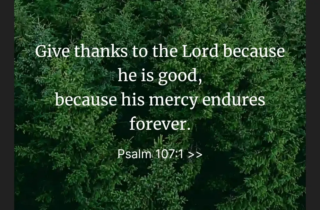 Cuplikan di balik layar dari Son Yejin