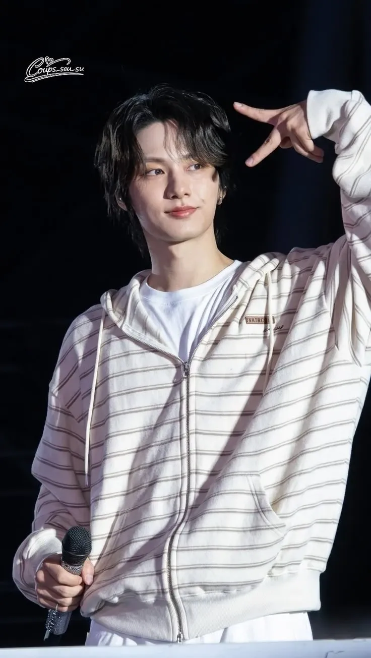 Representative background image loved by Wen Junhui fandom