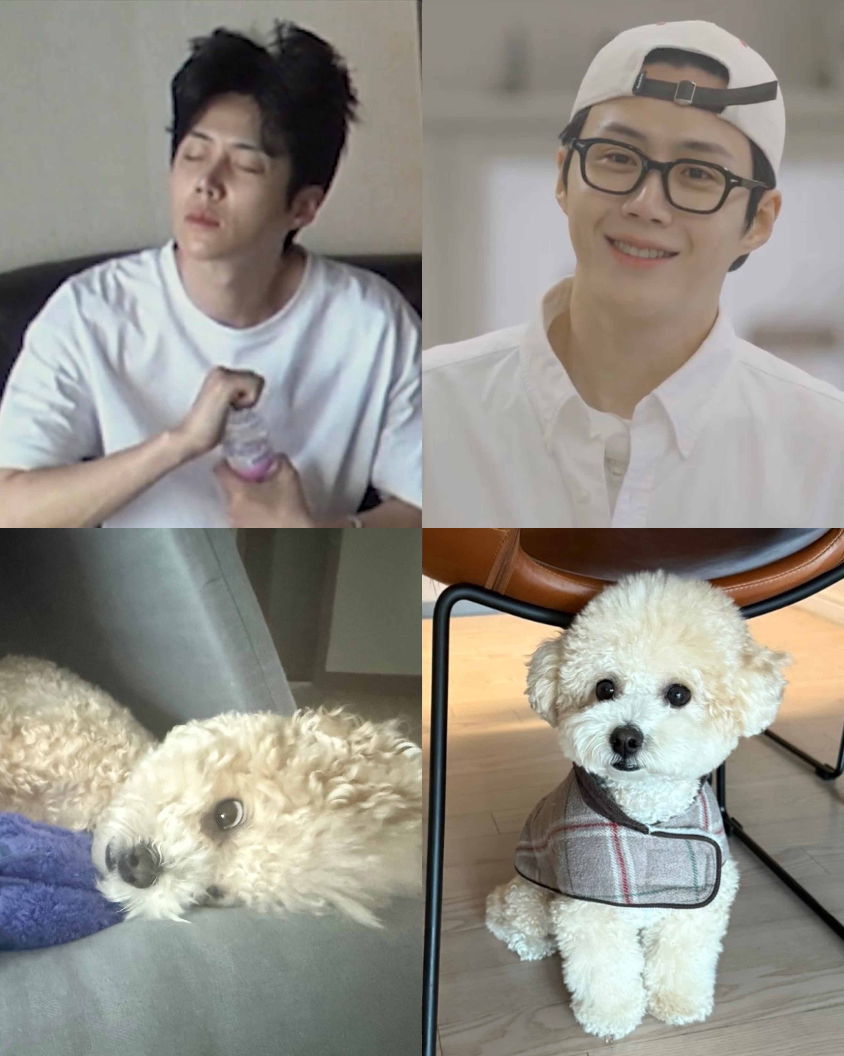 Hottest celeb community feed today
