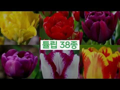 이찬원의 비하인드 컷