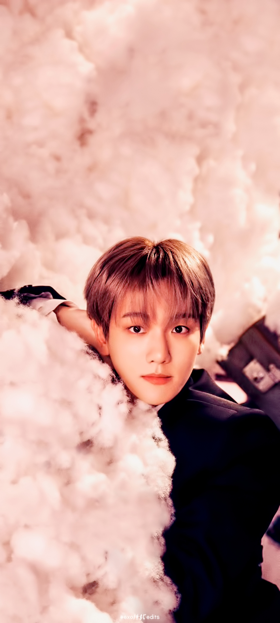 最爱偶像名人粉丝团推荐的边伯贤背景图片