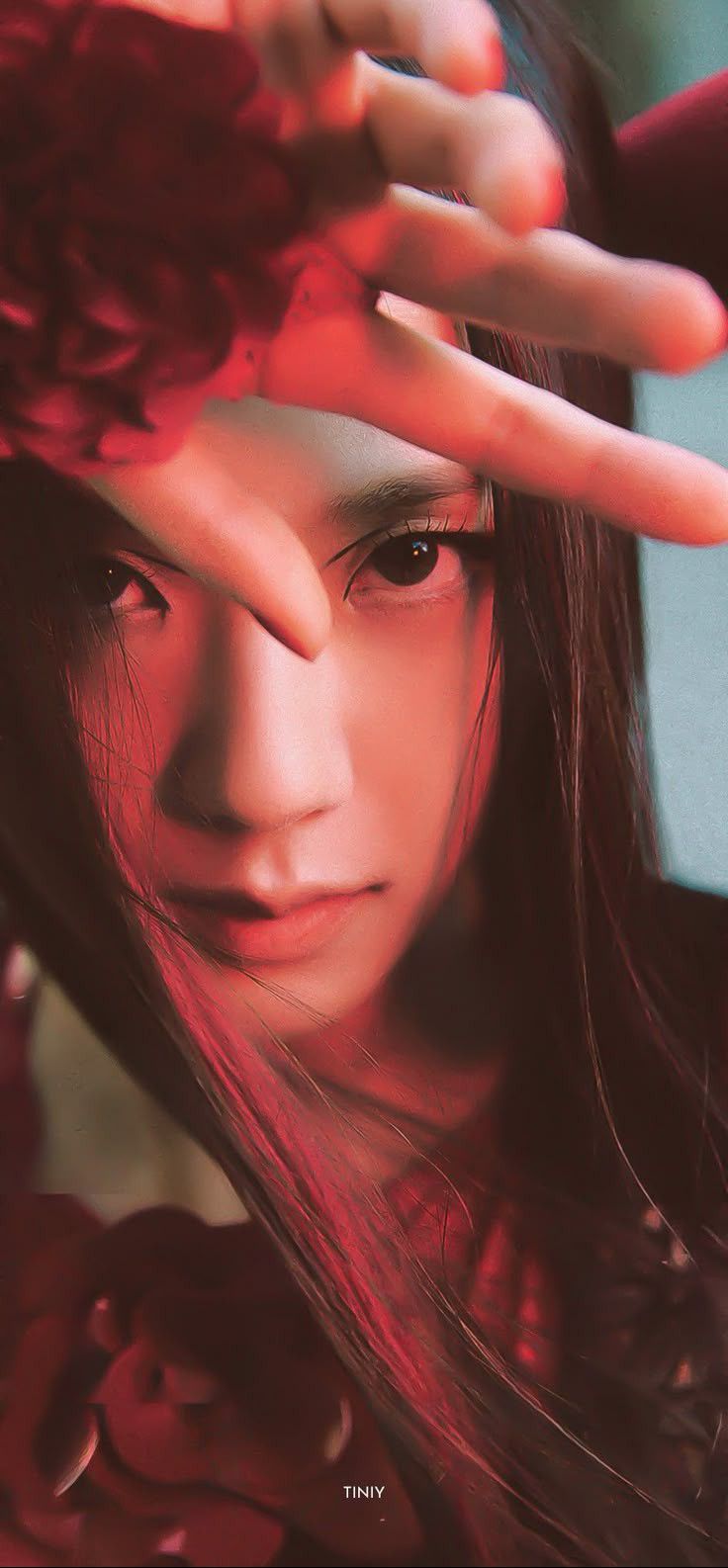 Today's popular wallpaper in Jisoo (1995) community