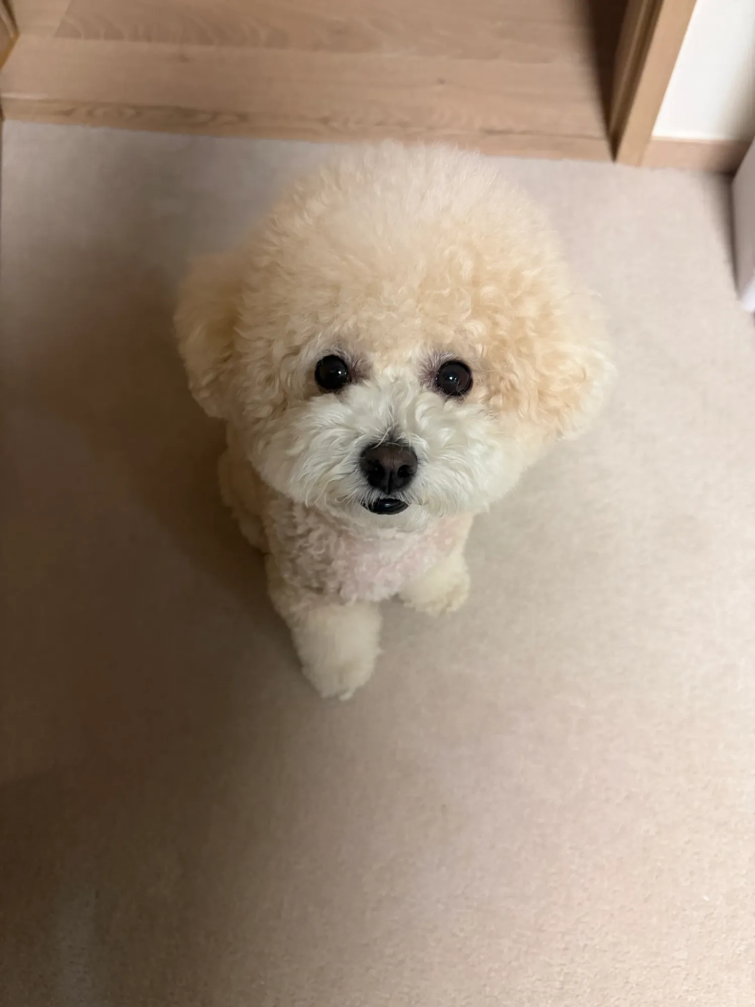 Recent activity shot of Kim Seonho