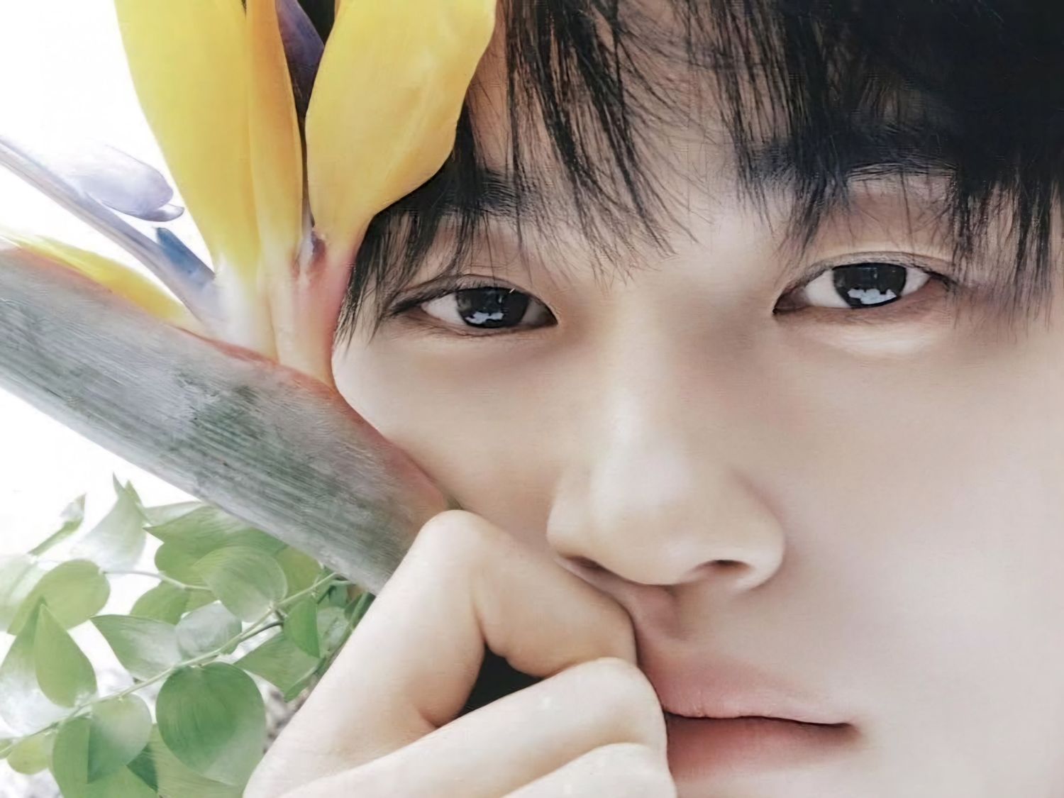 Behind-the-scenes cut of Byeon Wooseok