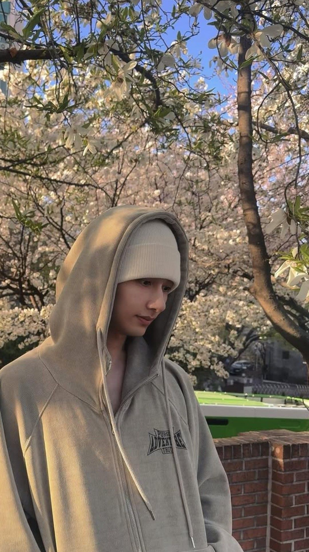 最爱偶像名人粉丝团推荐的文俊辉背景图片