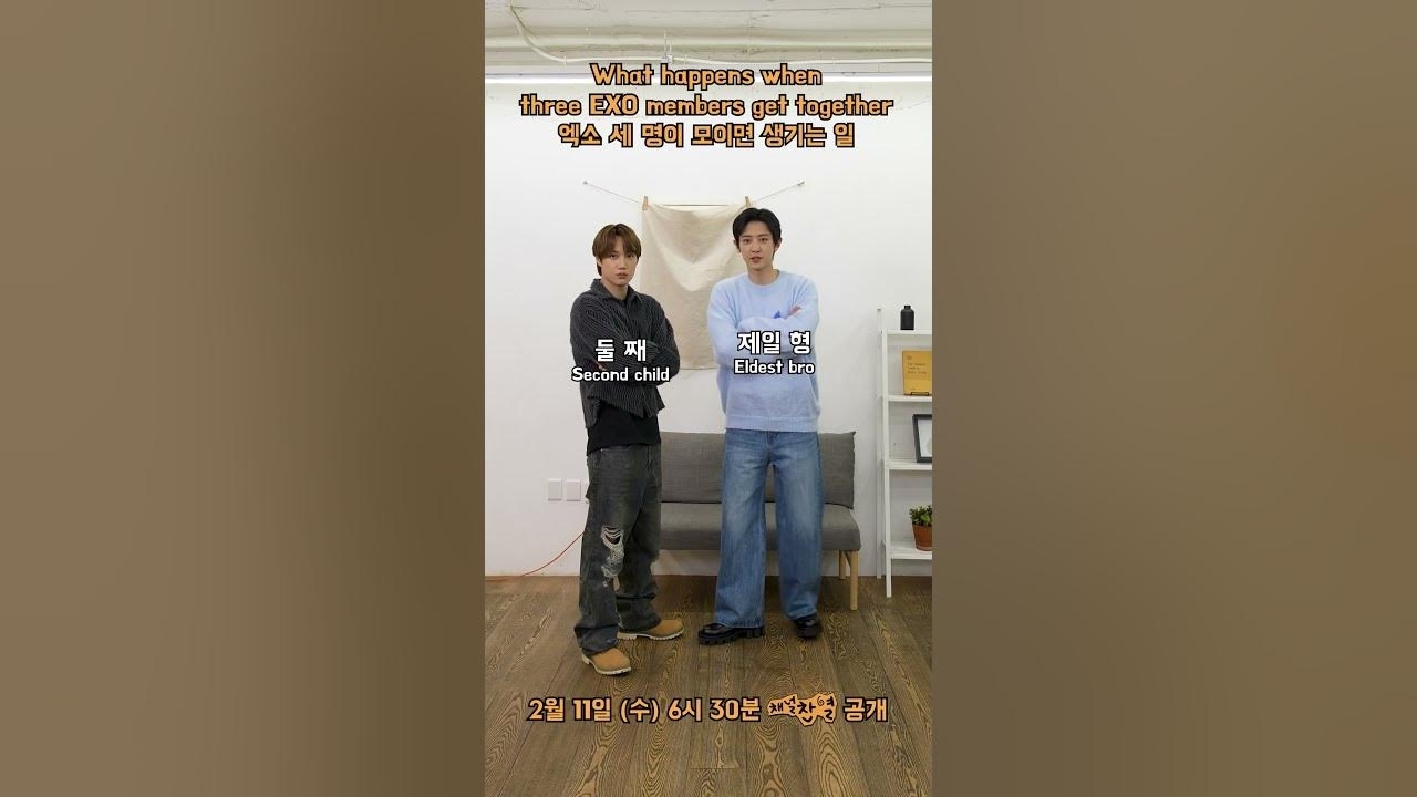 도경수 (디오) 팬이 찍은 순간