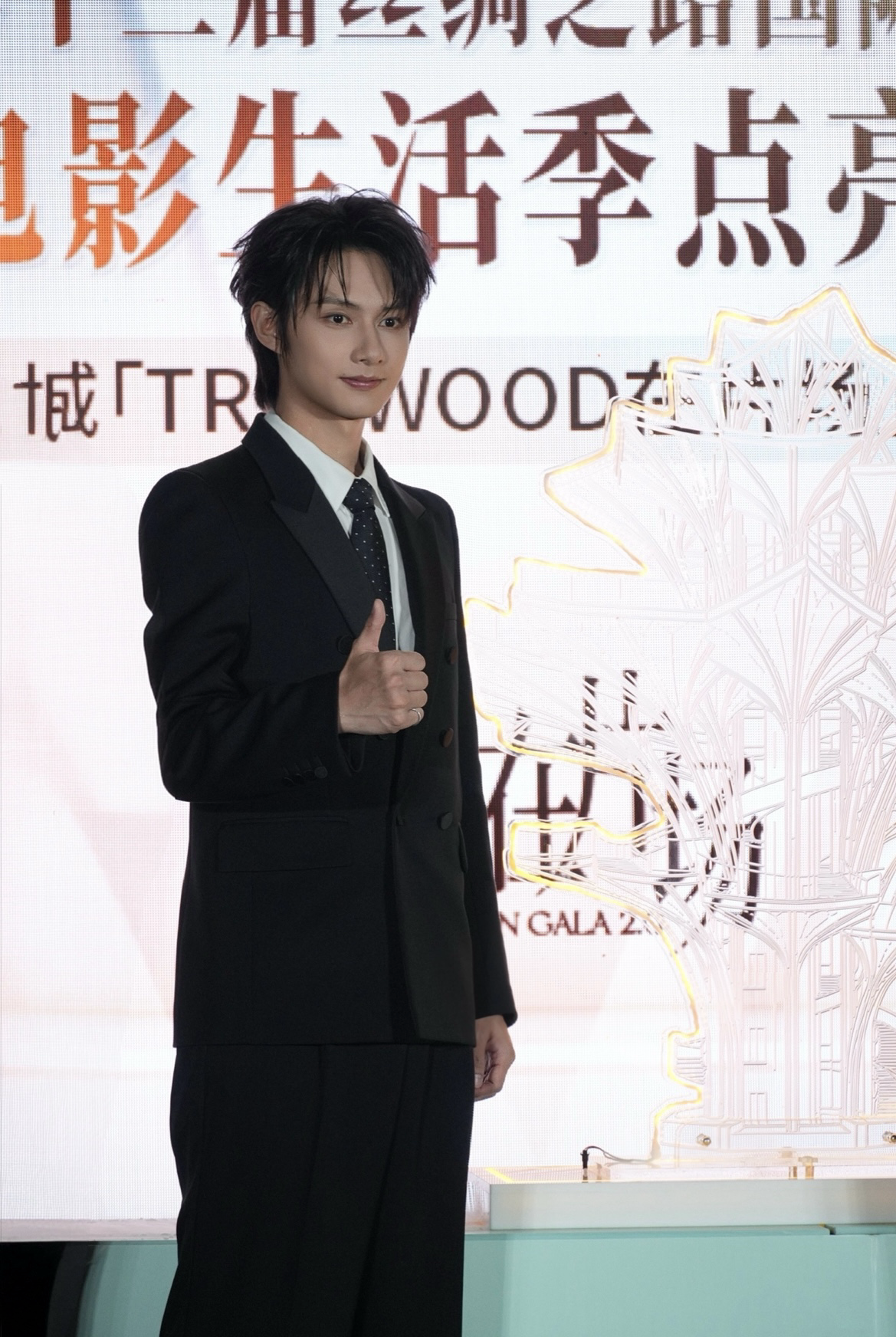 A moment captured by a fan of Wen Junhui