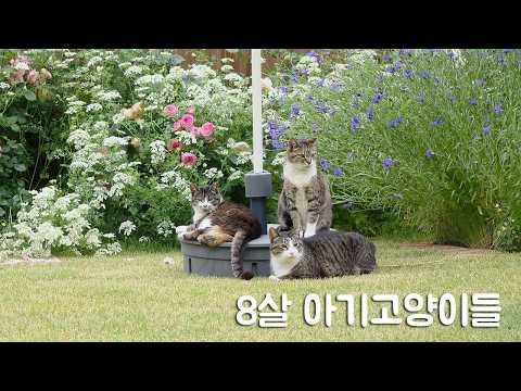 Foto kegiatan terbaru dari Lee Chanwon