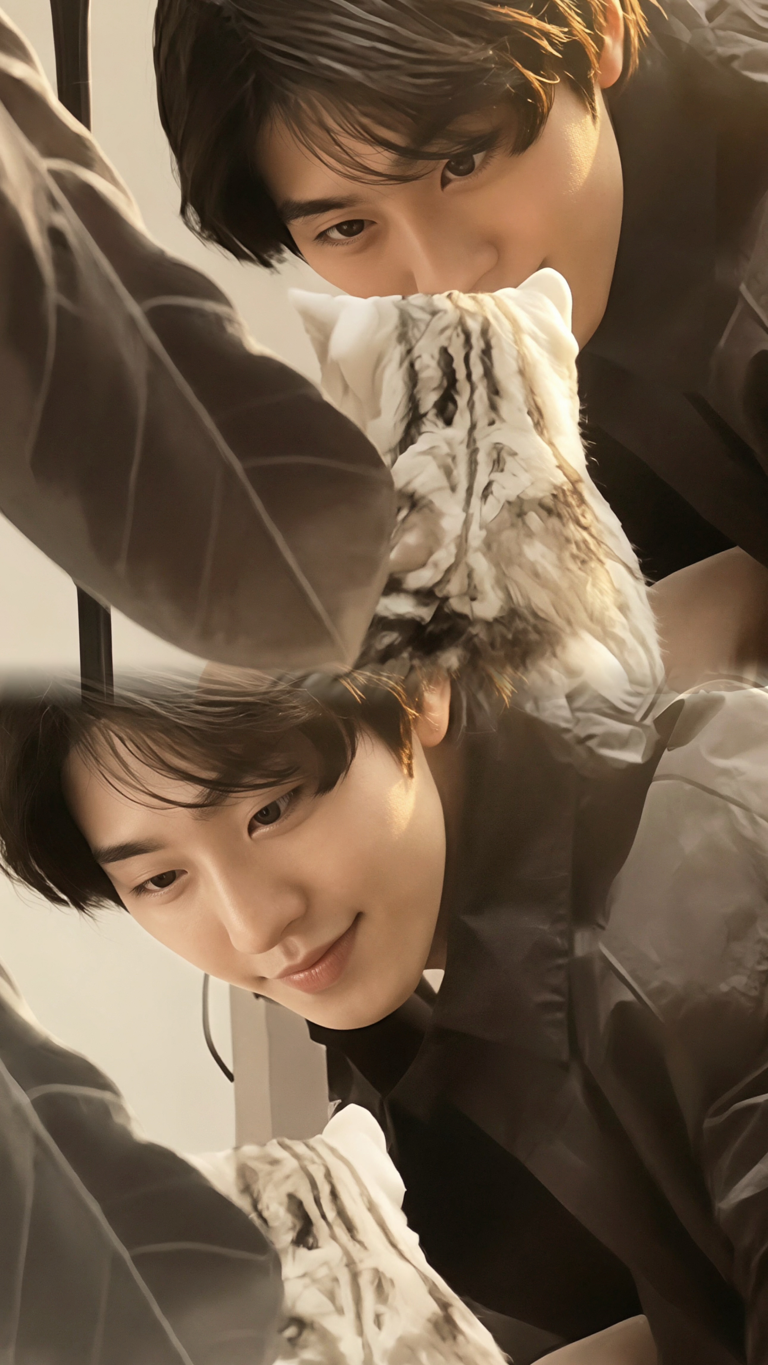 Emotional wallpaper shared by fans for Ahn Hyoseop