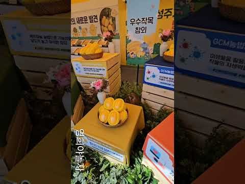 박서진의 최신 사진