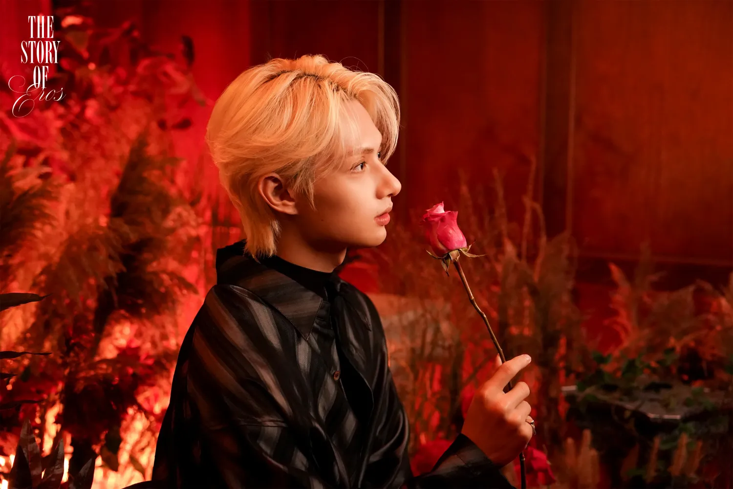 Recent activity shot of Wen Junhui