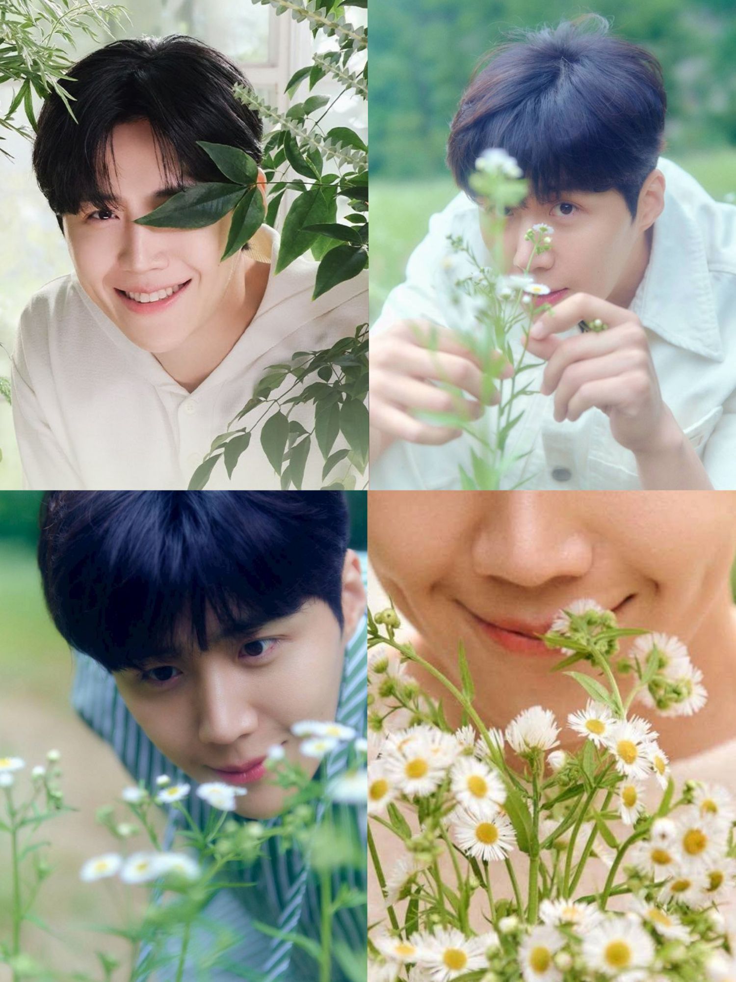 김선호 팬이 찍은 순간