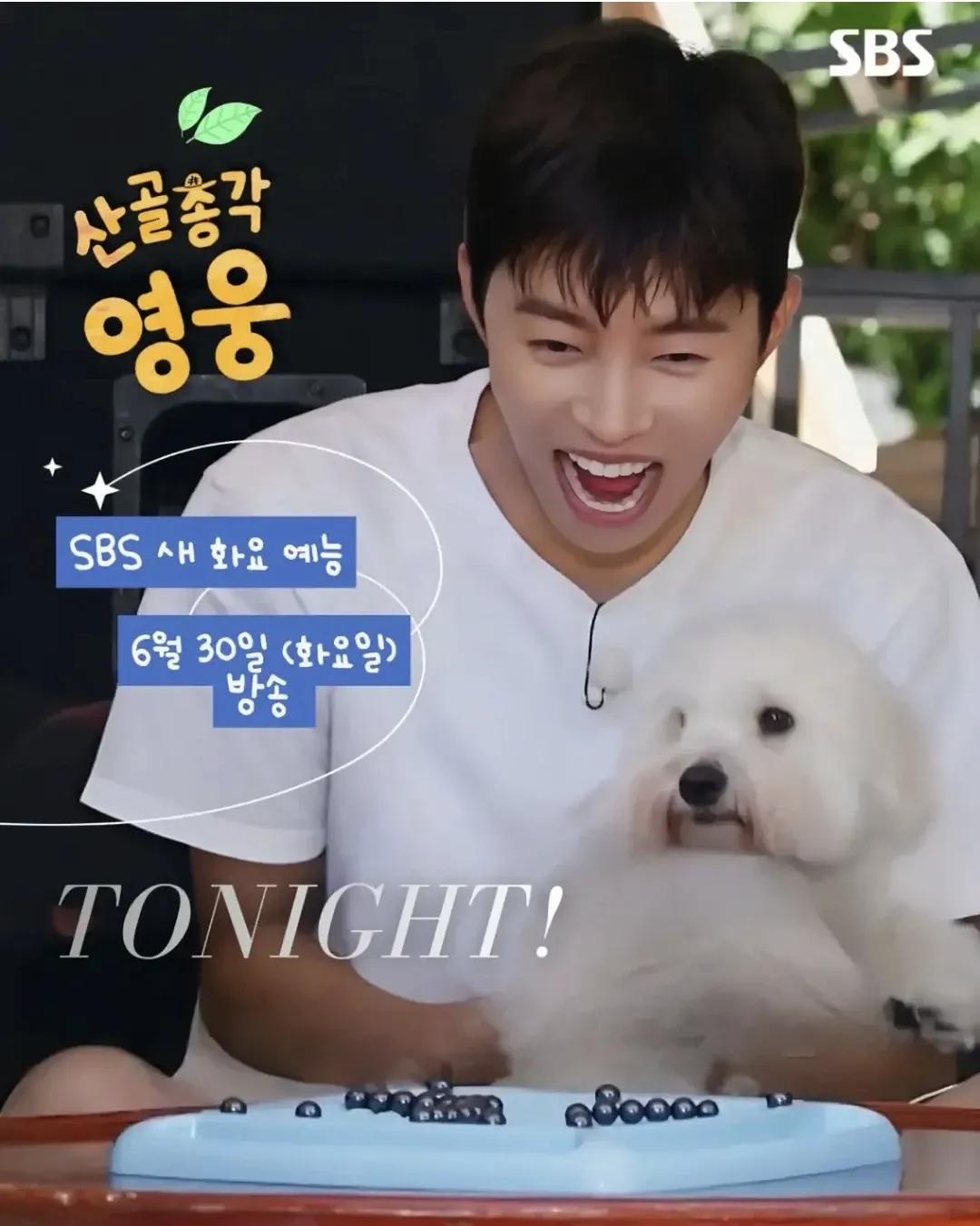 임영웅 최근 활동샷