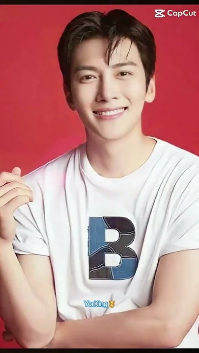 チ・チャンウクのビハインドカット