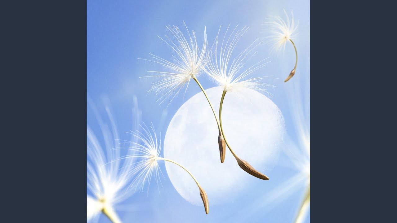 车银优的幕后花絮