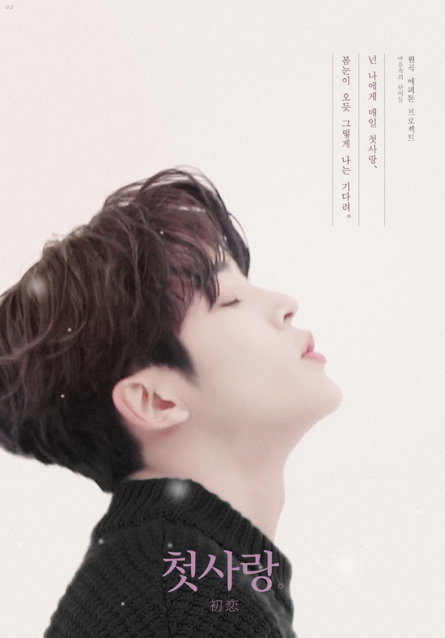 路雲的最新照片