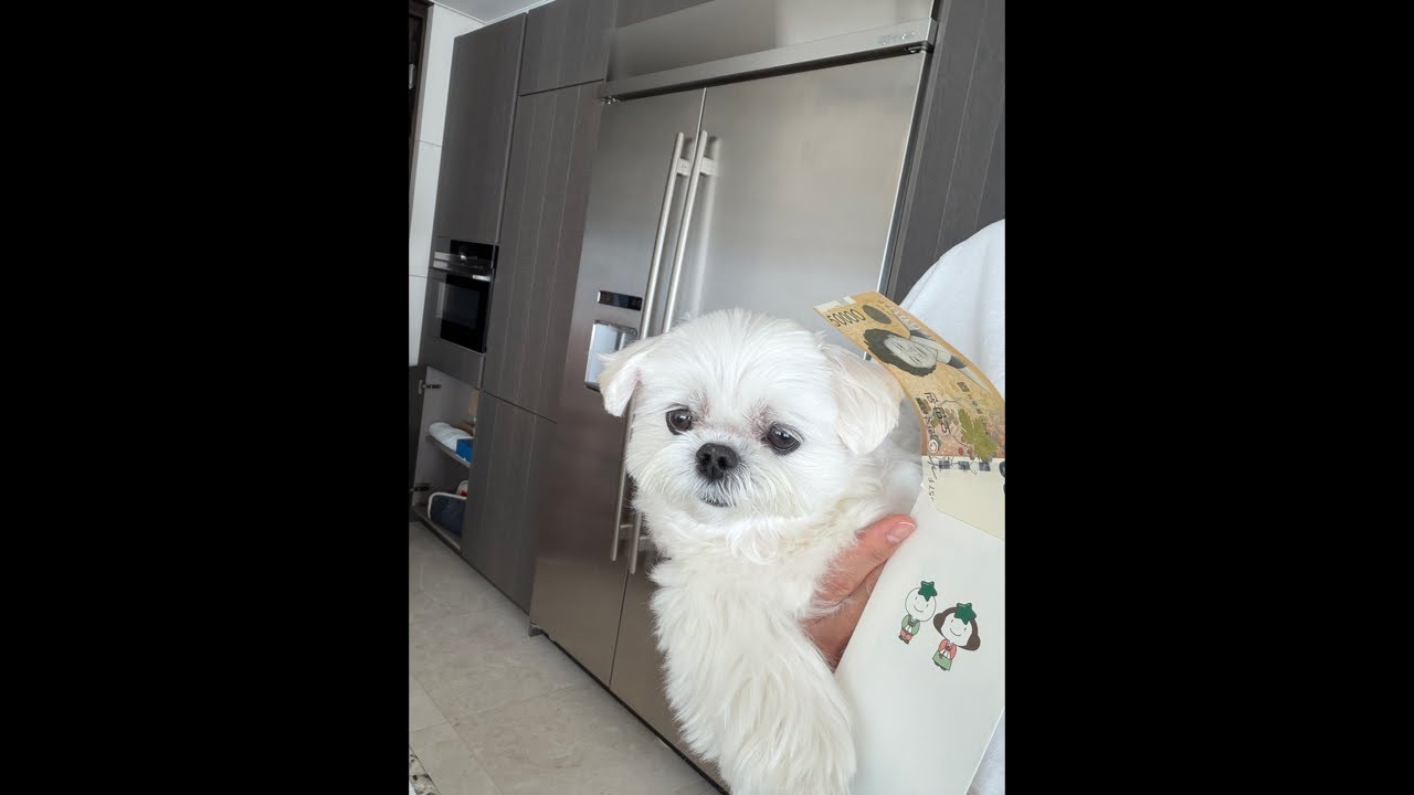 A moment captured by a fan of Choi Siwon