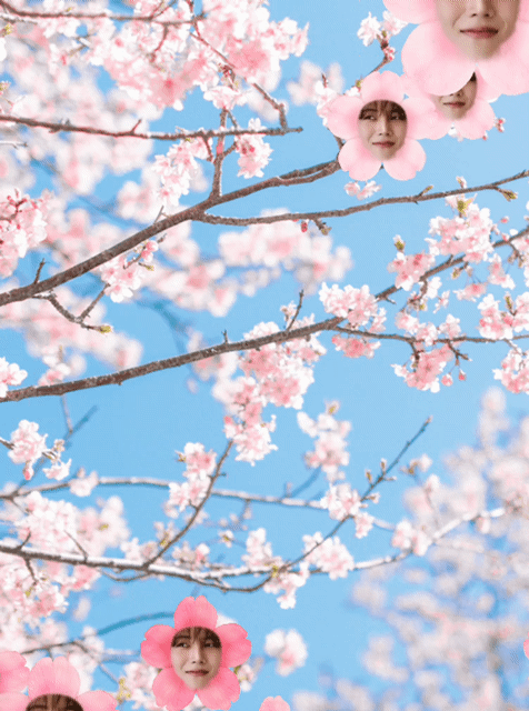 A moment captured by a fan of Kim Jungyeon