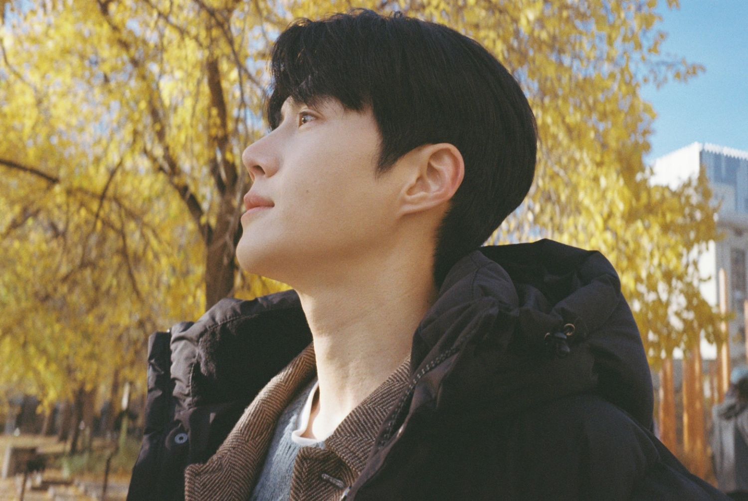 Recent activity shot of Kim Seonho