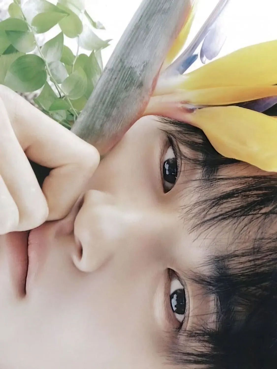 변우석 팬이 찍은 순간