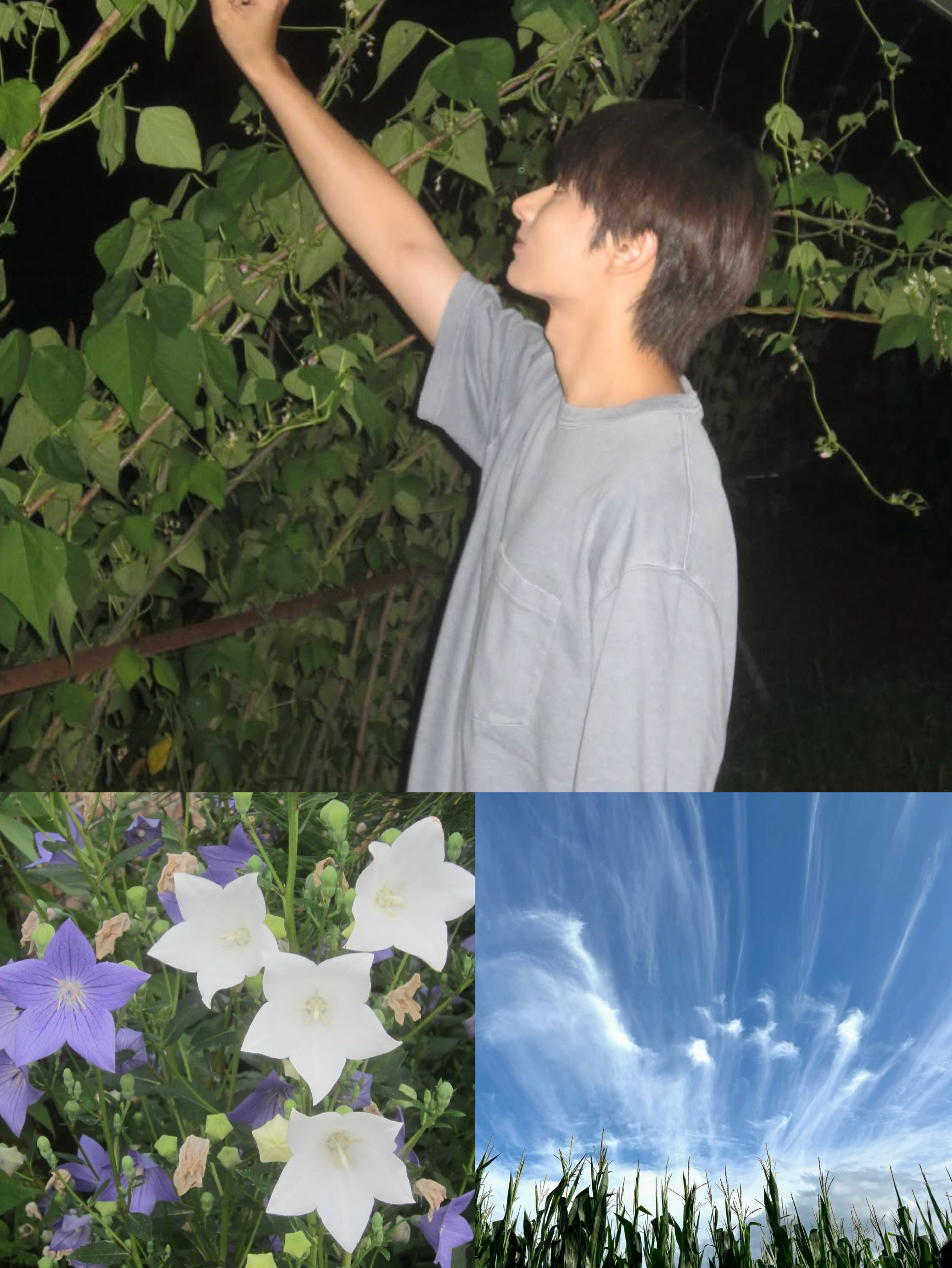 Latest photo of Wen Junhui