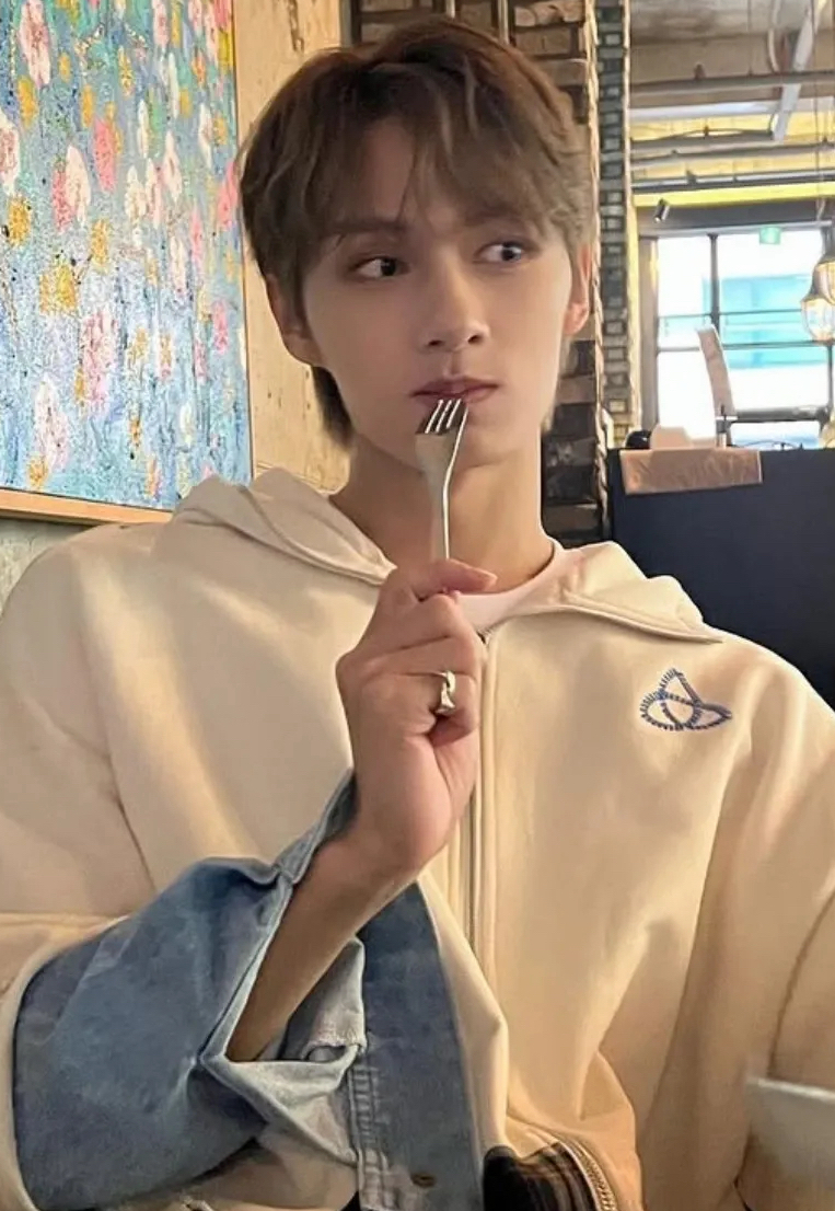 A moment captured by a fan of Wen Junhui