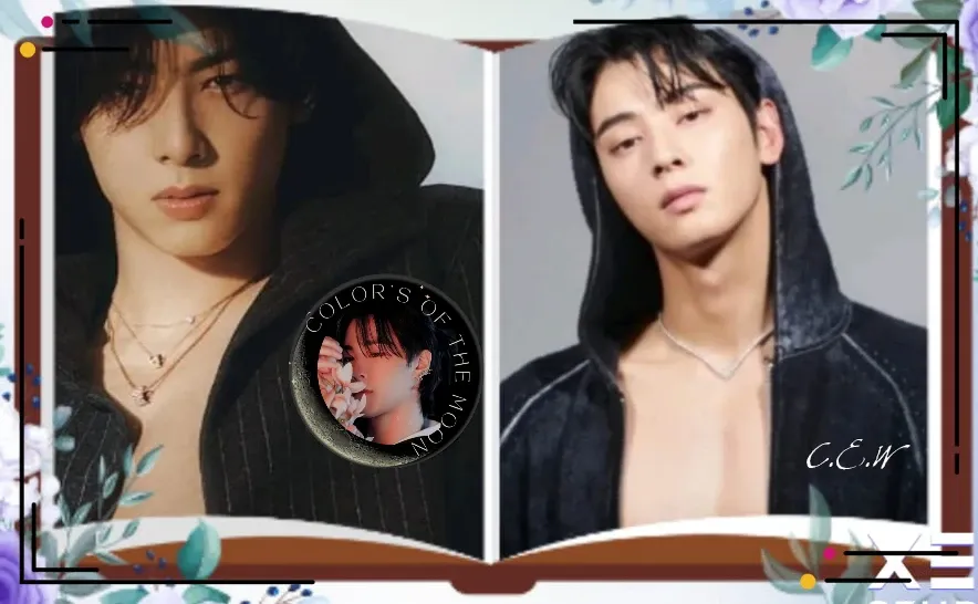 A moment captured by a fan of Cha Eunwoo