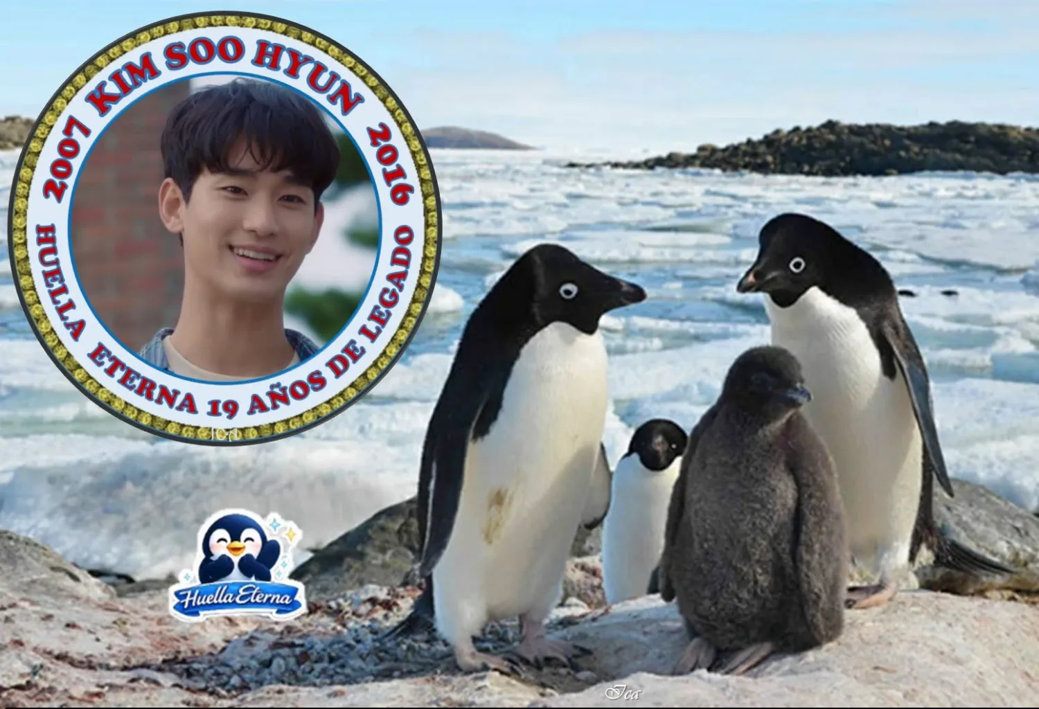 Behind-the-scenes cut of Kim Soohyun