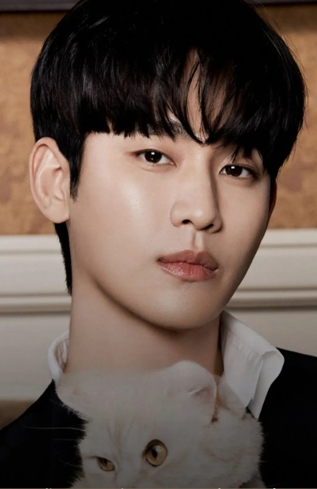 Recent activity shot of Kim Soohyun