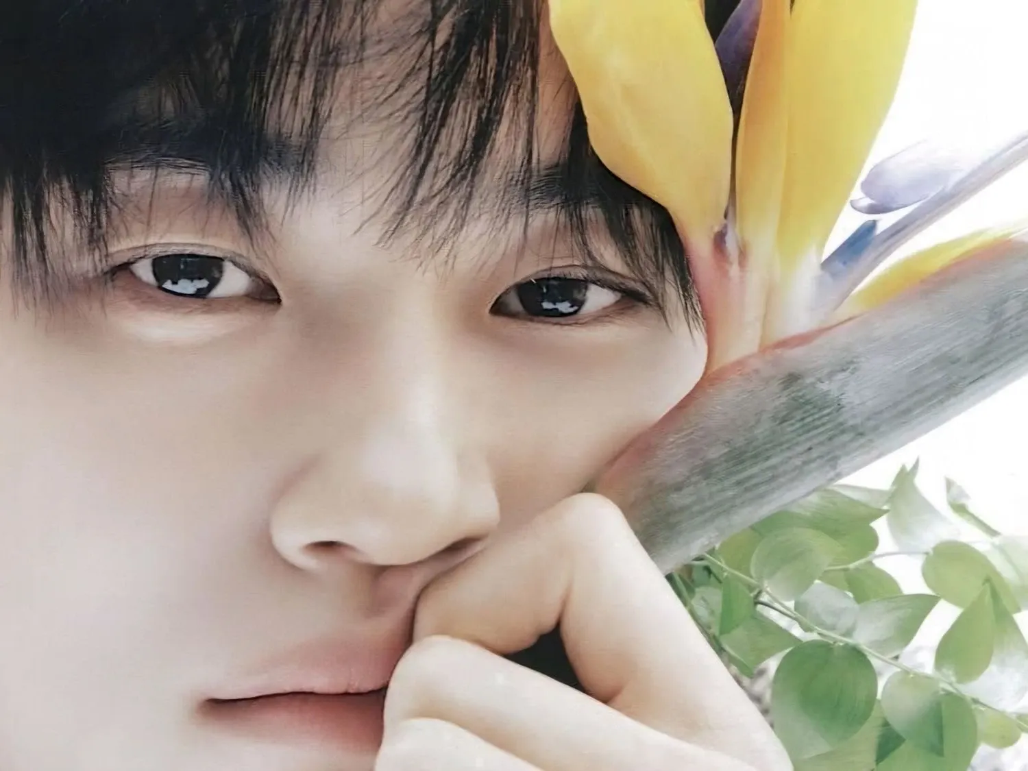 변우석 팬이 찍은 순간