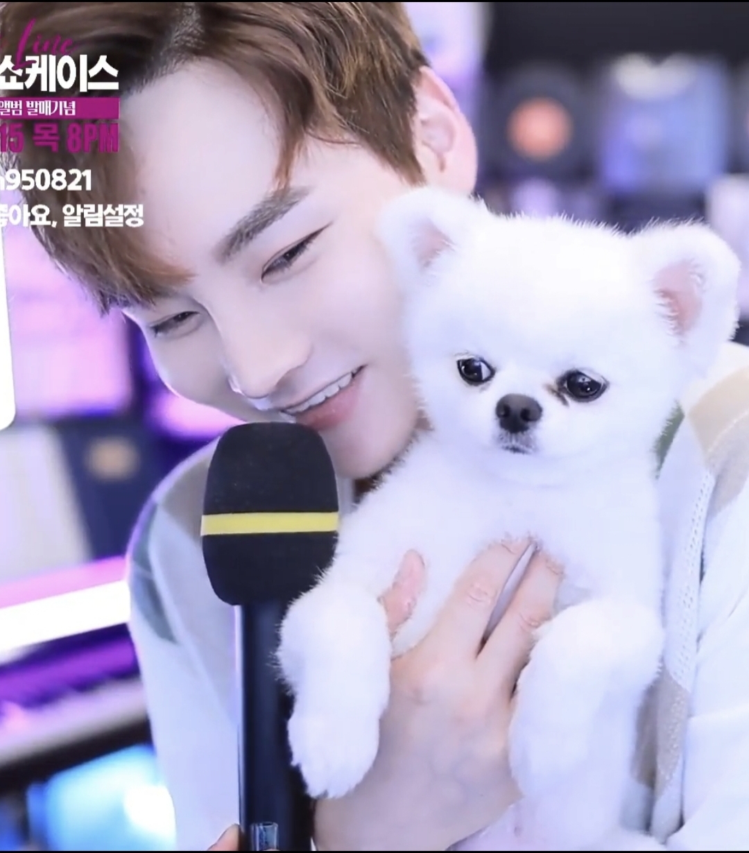 Momen yang diabadikan oleh penggemar Park Seojin