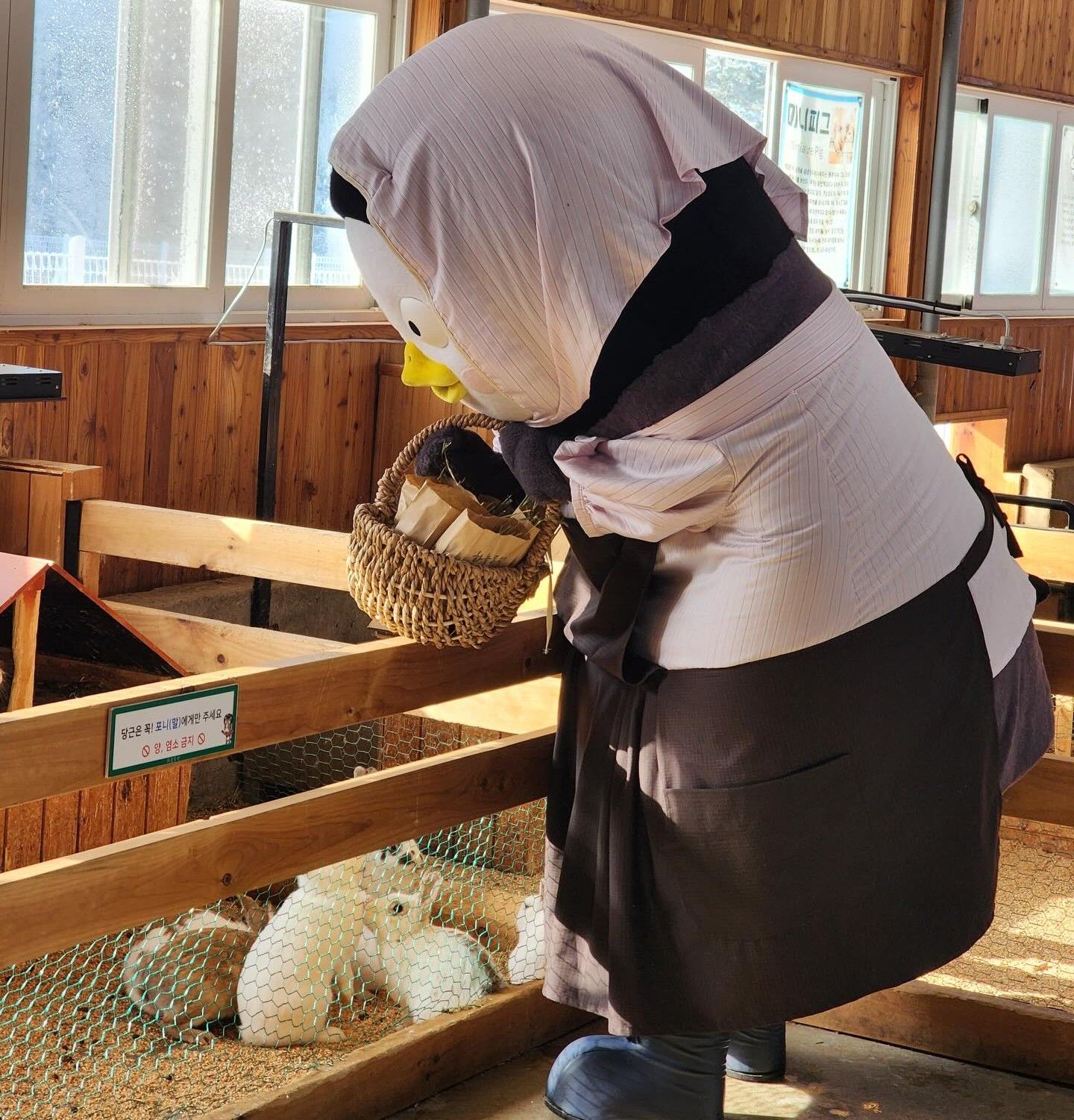 Momen yang diabadikan oleh penggemar Pengsoo