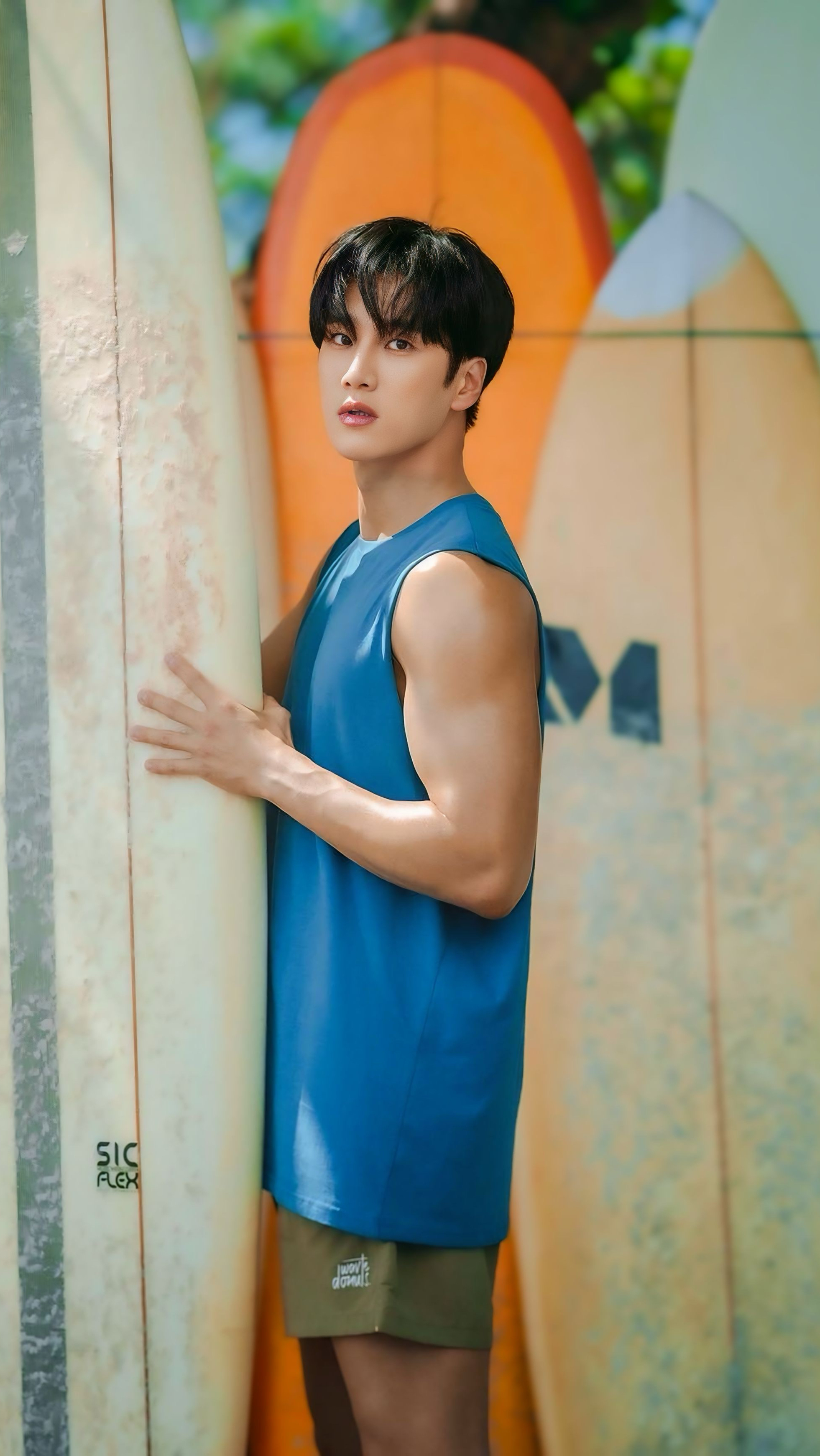 Today's popular wallpaper in Ahn Bohyun community